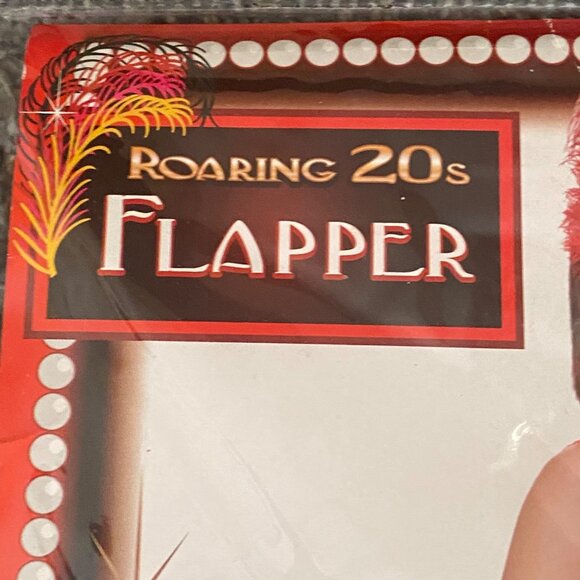 Roaring 20s Flapper Costume Child Large 12-14 Halloween Dress NEW - Picture 2 of 10